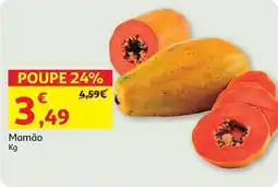 Mamão