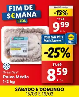 Lidl Ocean Sea Polvo Médio promoção