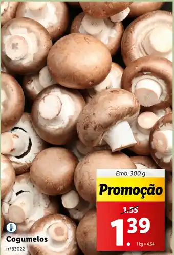 Lidl Cogumelos promoção