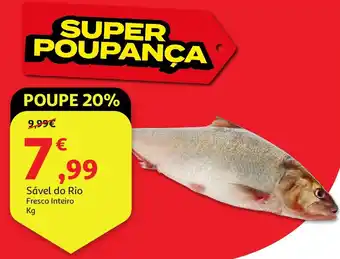 Auchan Sável do Rio Fresco Inteiro promoção