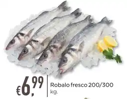 Bolama Robalo fresco 200/300 promoção