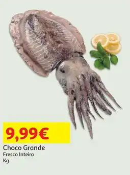 Minipreço Choco Grande Fresco Inteiro promoção