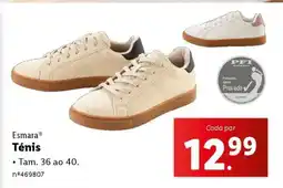 Lidl Esmara Tênis promoção