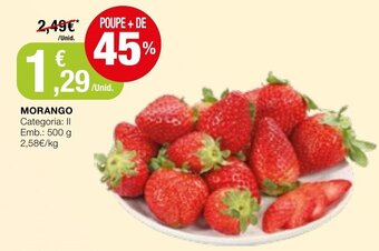 Intermarché Morango 500g promoção