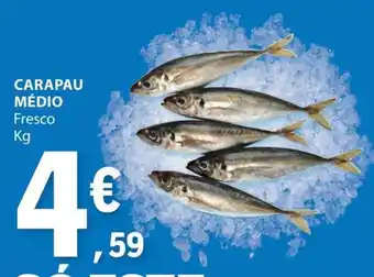 E.Leclerc Carapau Médio promoção