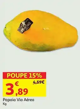 Papaia Via Aérea