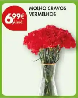 Pingo Doce Molho Cravos Vermelhos promoção
