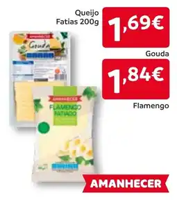 Queijo Fatias Gouda