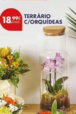 Pingo Doce Terrário c/Orquídeas promoção