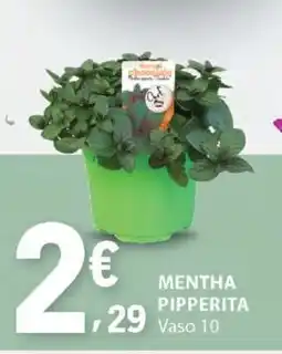 E.Leclerc MENTHA PIPPERITA promoção