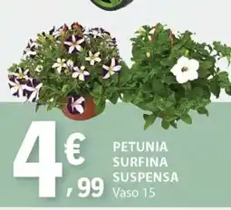 E.Leclerc Petunia Surfina Suspensa promoção