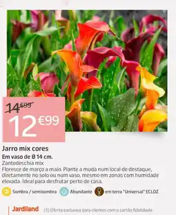 Jardiland Jarro mix cores Em vaso de 014 cm. promoção