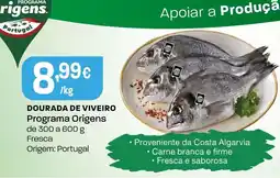 Intermarché Dourada de viveiro promoção