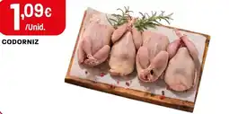 Intermarché Codorniz promoção