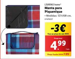 Lidl Manta para Piquenique promoção