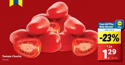 Lidl Tomate Chucha promoção