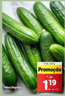 Lidl Mini Pepino promoção