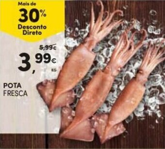 Continente Pota Fresca promoção