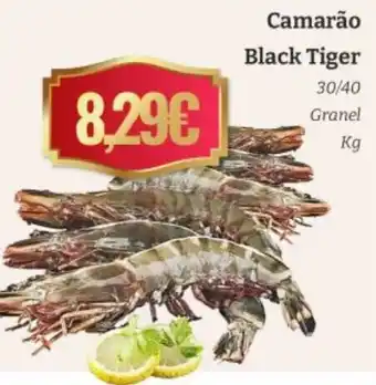 Belita Camarão Black Tiger 30/40 promoção
