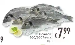 Bolama Dourada 200/300 fresca promoção