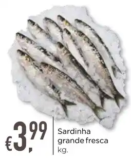Bolama Sardinha grande fresca promoção