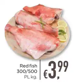 Bolama Red fish 300/500 PL promoção