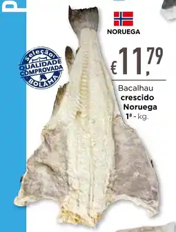 Bolama Bacalhau crescido Noruega 1ª promoção