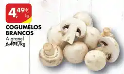 Pingo Doce Cogumelos Brancos promoção