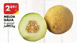 Pingo Doce Meloa Gália promoção
