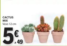 E.Leclerc CACTUS MIX promoção