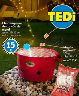 TEDi Churrasqueira de carvão de metal promoção