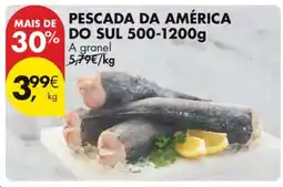 Pingo Doce Pescada da América do Sul 500-1200g promoção