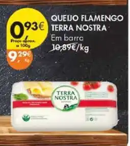 Pingo Doce QUEIJO FLAMENGO TERRA NOSTRA promoção