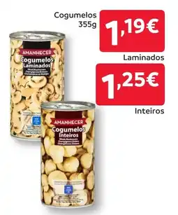 Amanhecer Cogumelos Laminados promoção