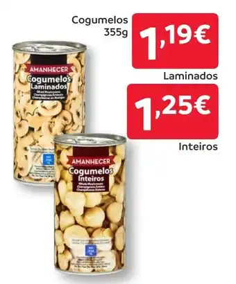 Amanhecer Cogumelos Laminados promoção