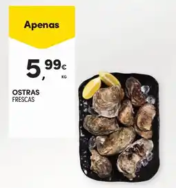 Continente Ostras frescas promoção