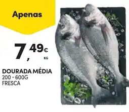 Continente Dourada média 200-600g fresca promoção