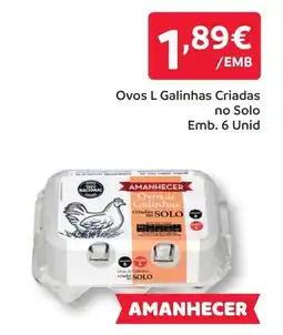 Amanhecer Ovos L Galinhas Criadas no Solo promoção