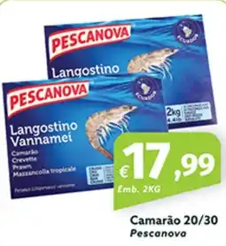 Roque Supermercados Camarão 20/30 Pescanova promoção