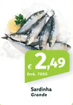 Roque Supermercados Sardinha Grande promoção