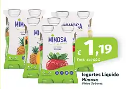 Roque Supermercados logurtes Líquido Mimosa Vários Sobores promoção