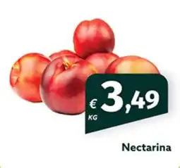 Roque Supermercados Nectarina promoção