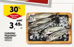 Continente Carapau pequeno/ medio fresco promoção