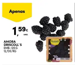 Continente Amora driscoll's promoção