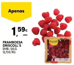Continente Framboesa driscoll's promoção