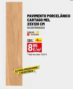Pa pavimento porcelânico cartago mel