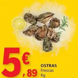 E.Leclerc Ostras frescas promoção