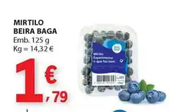 E.Leclerc Mirtilo beira baga promoção