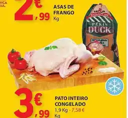 E.Leclerc Pato inteiro congelado promoção