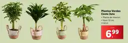 Lidl Plantas Verdes Cesto Juta promoção